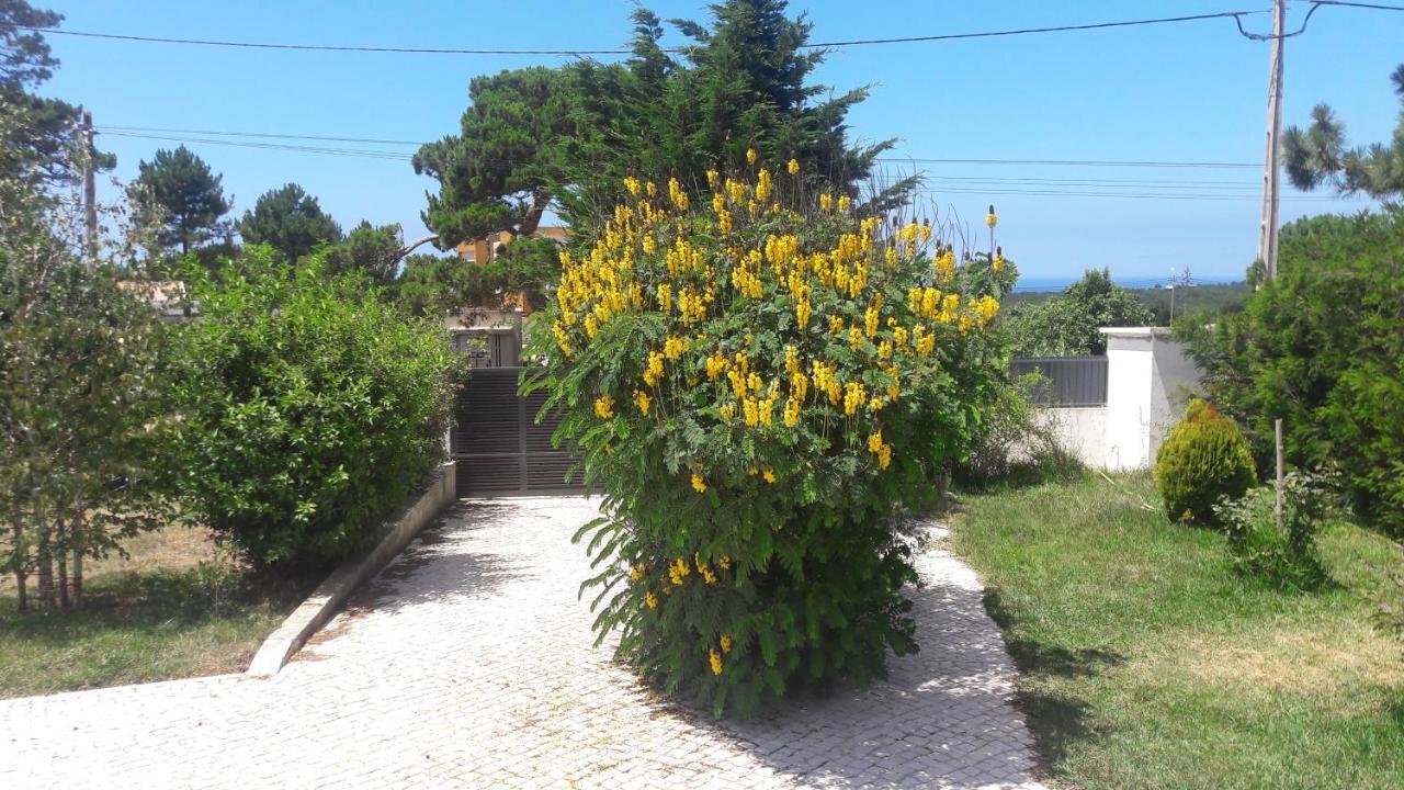 Sintra Vintage Caravan别墅 外观 照片